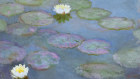 Les Nymphéas, by Claude Monet.