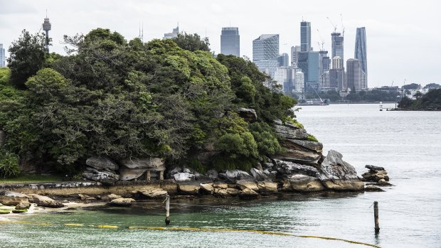 Summer in Sydney means ... cold beer, ferry rides and mosquitoes