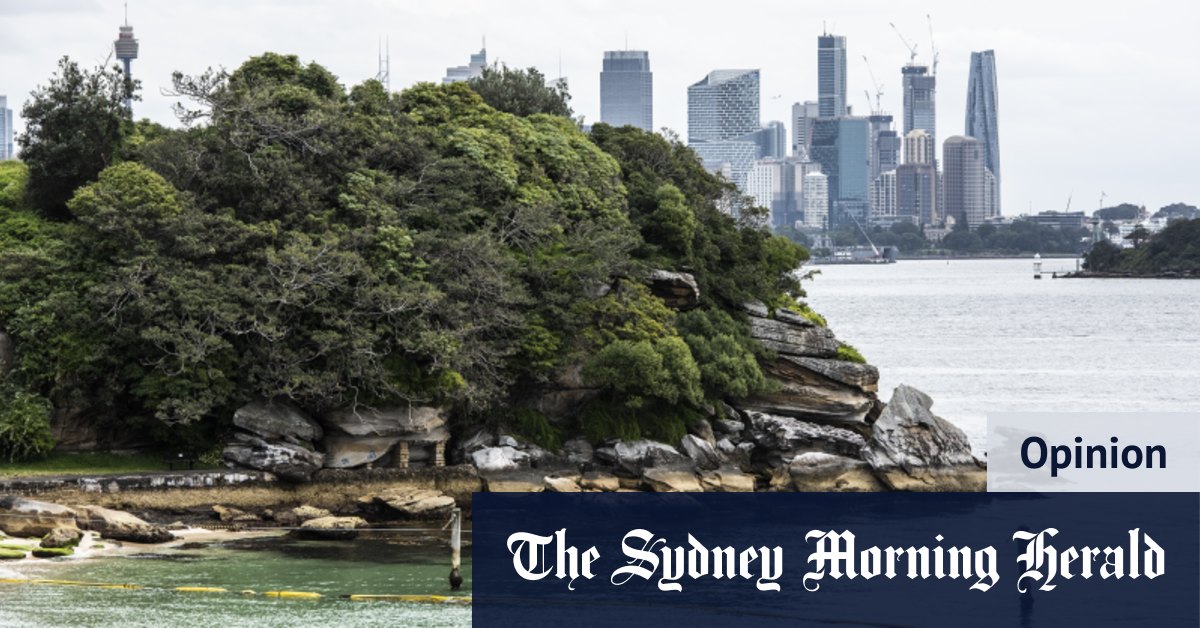Summer in Sydney: Jason Avedissian - Vimarsana News