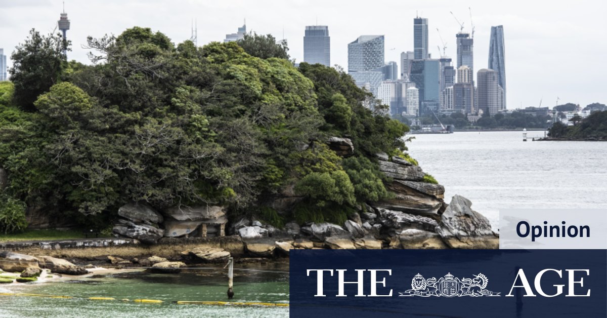 Summer in Sydney: Jason Avedissian - Vimarsana News