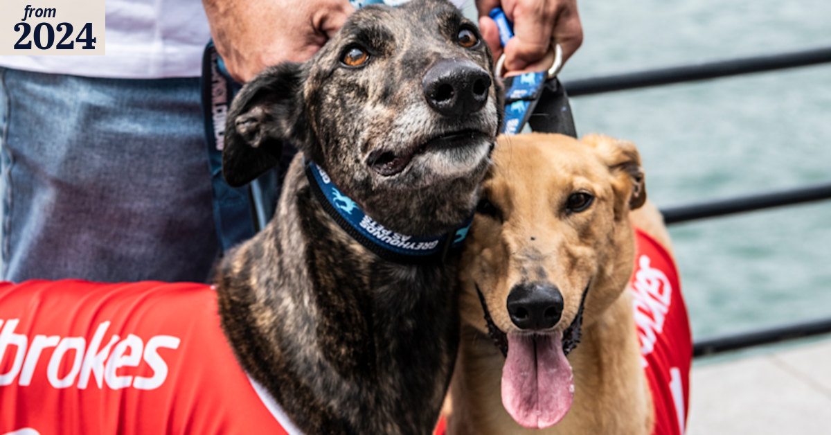 Greyhound racing in NSW has run its course