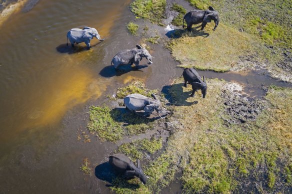 You can experience Botswana’s spectacular Okavango Delta in sustainable luxury.