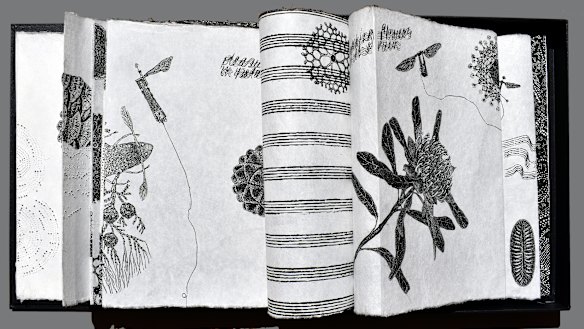 Dianne Fogwell, <i>Pollen Musica Continuum - infinite</i> (2018), detail.