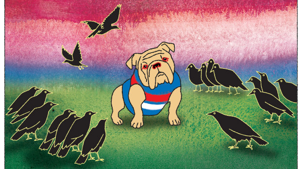 A murder of Crows: Could Adelaide pull off a breakthrough win over the Bulldogs? Illustration: Jim Pavlidis
