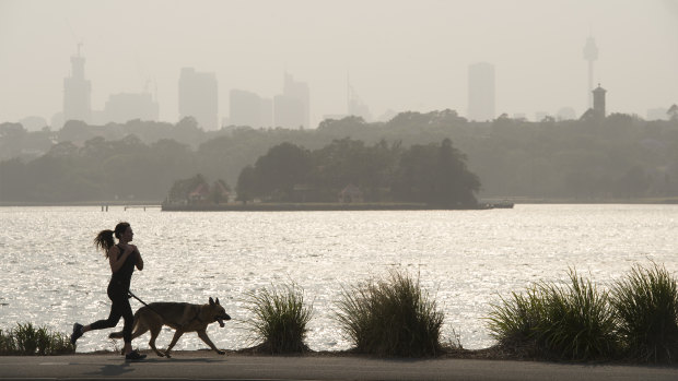 Sydney's smoke pollution has been running at record levels.