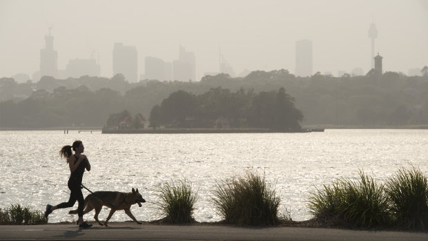 Sydney's smoke pollution has been running at record levels, the government said.