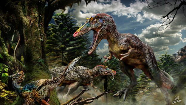 China's long-snouted tyrannosaur Qianzhousaurus, nicknamed Pinocchio Rex.