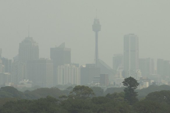 Thick smoke fills the Sydney skyline before racing at Randwick on Saturday.