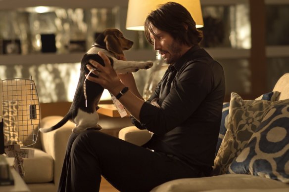 Keanu Reeves loves puppies and judo in John Wick. 