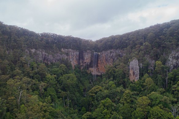 Springbrook National Park is a popular destination for hikers.