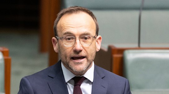 Greens leader Adam Bandt.