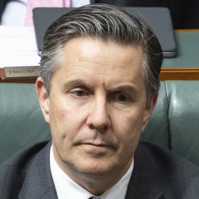 Health Minister Mark Butler.