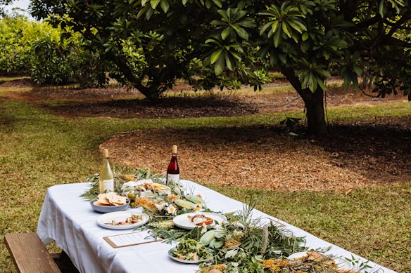 The long table for a five-course private lunch at Tropical Fruit World.
