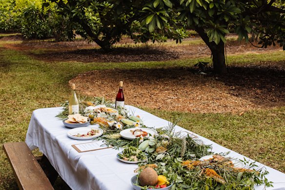 The long table for a five-course private lunch at Tropical Fruit World.