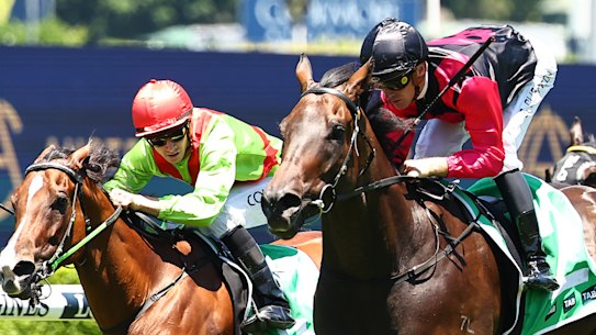 Gallant Star typically runs well at Randwick. 