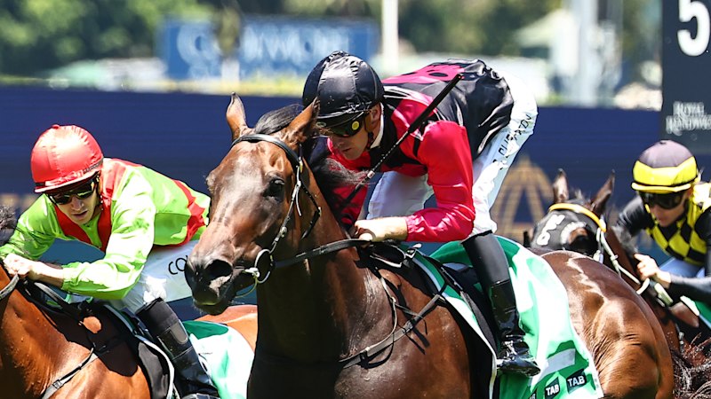 Race-by-race tips for Randwick on Saturday
