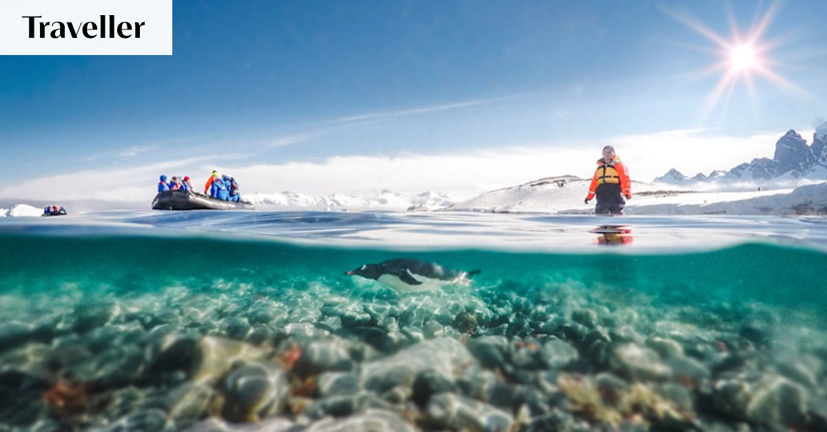 The 21 must-do highlights of Antarctica