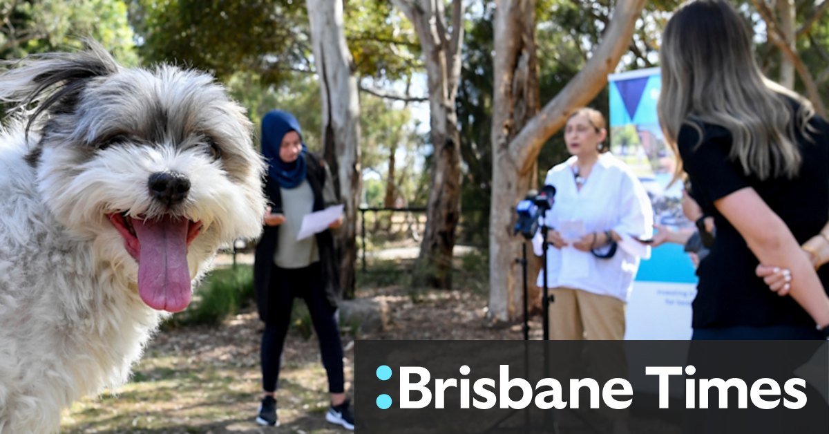 Environment Minister Lily D'Ambrosio unveils $15m plan for new parks in Melbourne - Vimarsana News