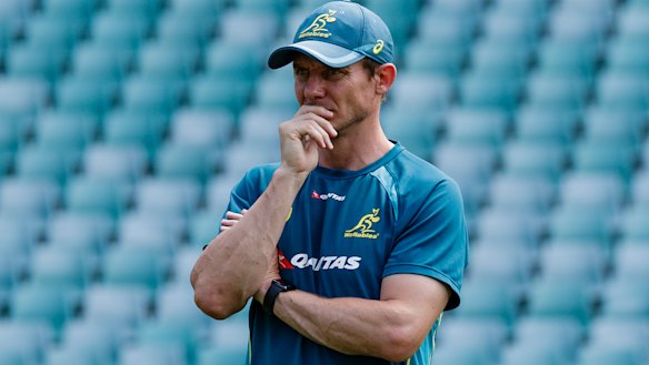 The Wallabies are looking for a new attacking coach after Stephen Larkham was let go.