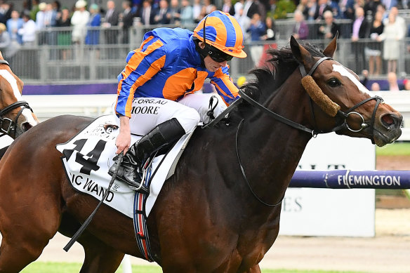 The O'Brien family's Magic Wand remains in the running for the Cox Plate.
