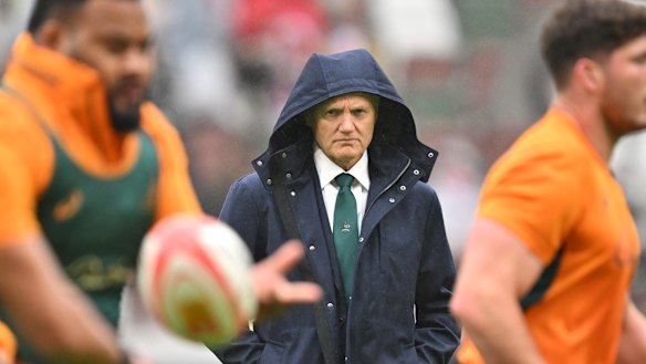 Wallabies coach Joe Schmidt faced some big challenges.