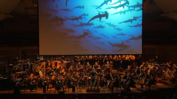 Gorgeous cinematography from National Geographic's archives accompanies the orchestral performance.