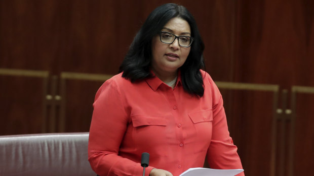 Mehreen Faruqi will return to the Senate for the Greens, alongside five new NSW senators.