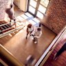 Apartment or house? What strata does (and doesn’t) cover for landlords