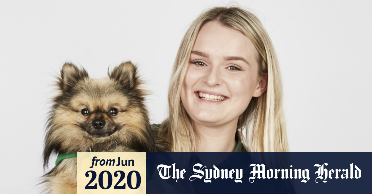 wood green animal shelter dogs for rehoming