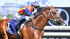 Jamie Kah steers Nature Strip to victory in the Lightning Stakes at Flemington on Saturday.