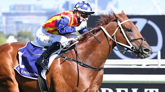 Jamie Kah steering Nature Strip to victory in the Lightning Stakes at Flemington earlier this year.