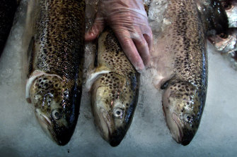 Forrest wants JBS to feel FIRBâ€™s pain and fear.