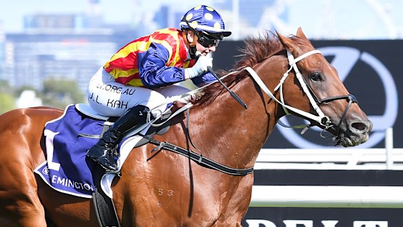 Jamie Kah will reunite with Nature Strip in the Lightning Stakes.