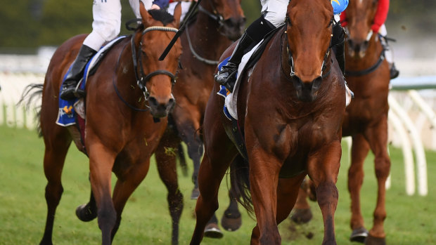 Eight races are on the card at Moruya on Friday.