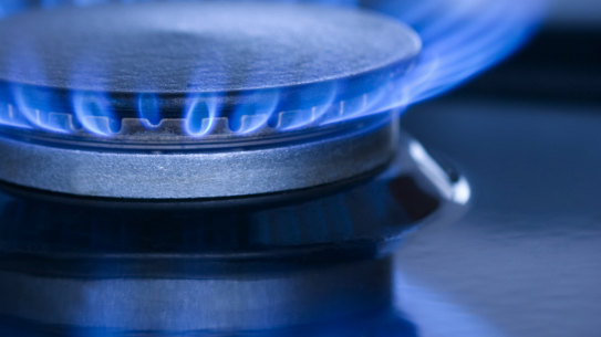 The Albanese government has imposed price caps on domestic supplies of gas and coal.