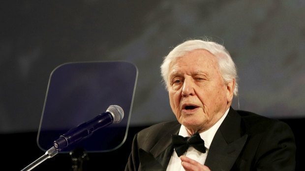 Sir David Attenborough, speaking at the premiere of "Our Planet" at the Natural History Museum in London, in April, 2019.