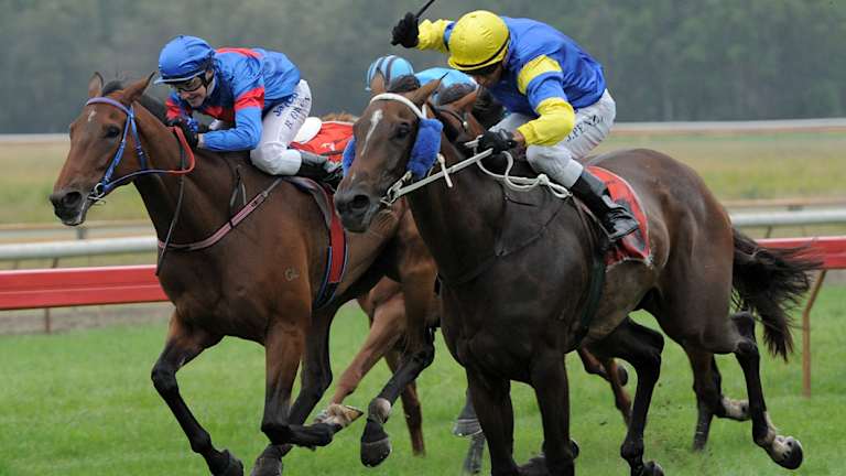 The Narooma Cup follows a very good edition of the Narooma Town Plate.