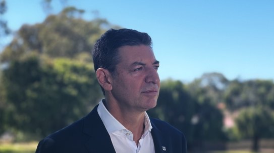 Basil Zempilas said his tilt at state politics would not impact his mayoral duties.