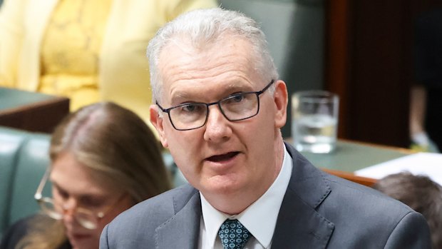 Tony Burke is facing pressure to act on the case.