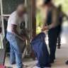 Illegal boa constrictor found in police raids on Queensland bikie gangs