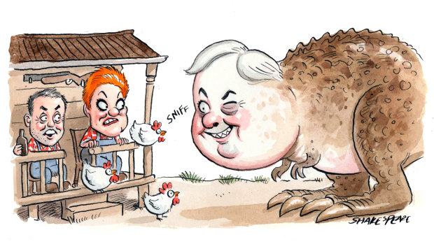 Pauline Hanson's One Nation and Clive Palmer's United Australia Party appear to be vying for candidates ahead of the federal election. Illustration: John Shakespeare