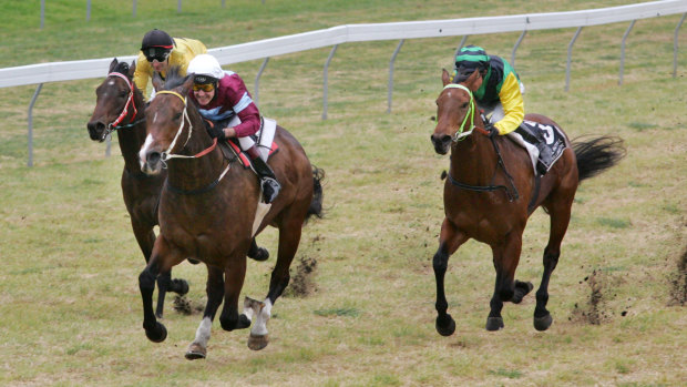 Racing action returns to Muswellbrook on Monday. 