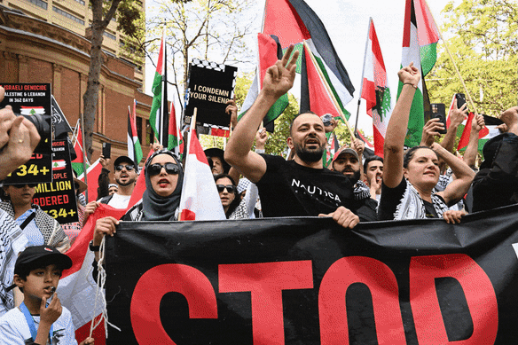 Pro-Palestine rally on Sunday
