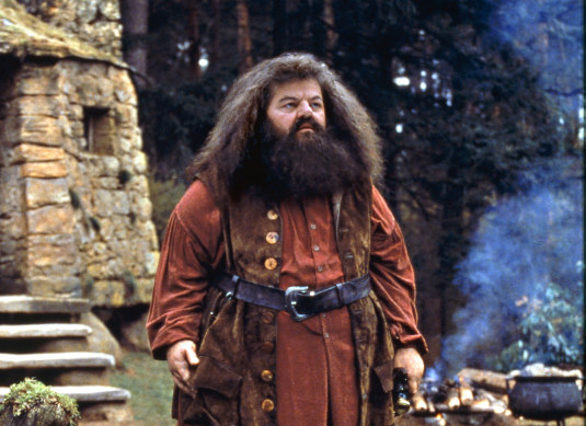 Robbie Coltrane as Hagrid in Harry Potter and the Philosopher’s Stone, 2001.