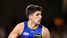 Brisbane forward Zac Bailey.