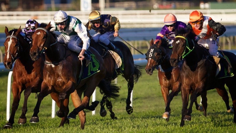 Miss Cartel has the horsepower to monopolise at Muswellbrook