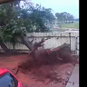Cyclone Zelia crossed the coast as a cataegory 4 system on Friday.