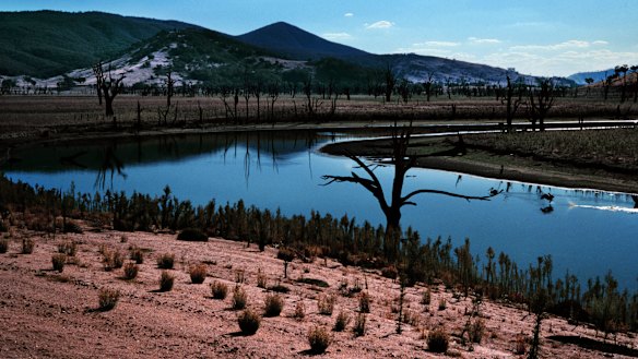 The Murray-Darling Basin remains stuck in one of  the worst droughts in the past century.