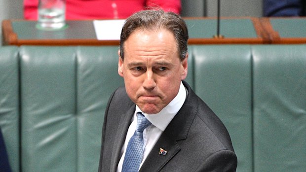 Federal Health Minister and Flinders MP Greg Hunt.