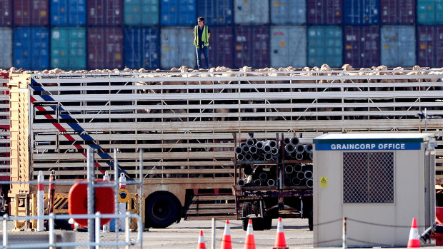 Sheep were being loaded onto the Al Kuwait live export ship in Fremantle harbour on Tuesday.